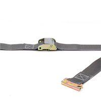 (image for) Trailer Cargo Control E-Track Logistics Strap With Cambuckle 2" X 16' Dexter/Redneck #ET6516
