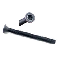(image for) Torx Floor Screw 1/4" X 2-1/4" Black Dexter/Redneck #TFX225