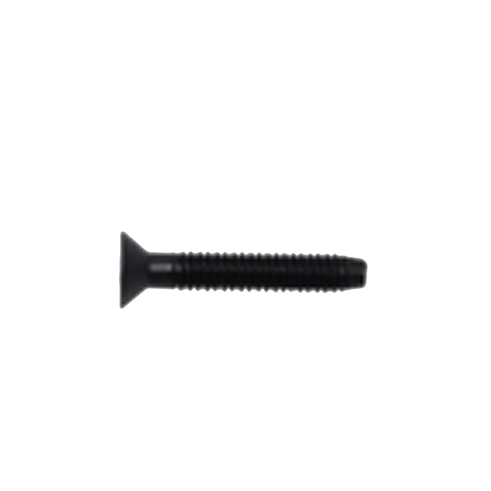(image for) Trailer Torx Screw 1/4" X 1 1/2" Black Dexter/Redneck #TFX150